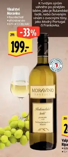 Albert Vinařství Moravíno Rulandské šedé nabídka
