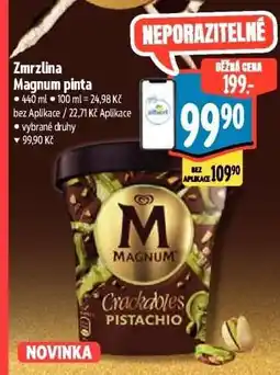 Albert Zmrzlina Magnum Pinta nabídka