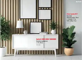 Květník LUNA KOULE MARMOR