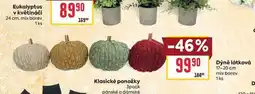 Billa Dýně látková 17-20 cm mix barev 1 ks nabídka