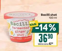 Billa Bacilli shot nabídka