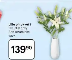 Tesco Lilie plnokvětá, 1 ks, 3 stonky nabídka