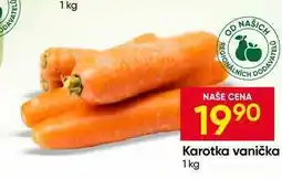 Hruška Karotka vanička nabídka