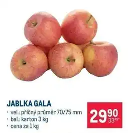 Makro JABLKA GALA nabídka