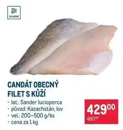 Makro Candát obecný filet s kůží nabídka