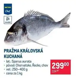 Makro Pražma královská kuchaná nabídka