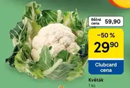 Tesco Květák nabídka