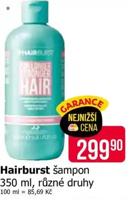 Teta Hairburst šampon nabídka