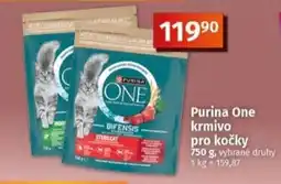 Coop Purina One krmivo pro kočky nabídka