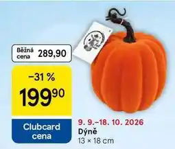 Tesco Dýně 13 x 18 cm nabídka