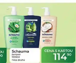 Tamda Foods Schauma šampon nabídka