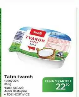 Tamda Foods Tatra tvaroh tučný 22% nabídka