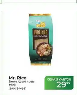 Tamda Foods Mr. Rice široké rýžové nudle nabídka