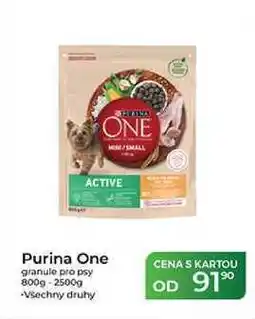 Tamda Foods Purina One granule pro psy 800g-2500g nabídka