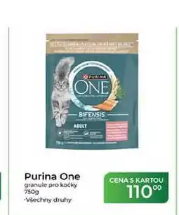 Tamda Foods Purina One granule pro kočky nabídka