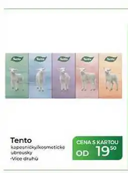 Tamda Foods Tento kapesníčky/kosmetické ubrousky nabídka