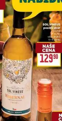 Billa SOL VINEUS pozdní sběr nabídka