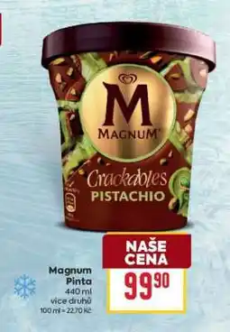 Billa Magnum pinta nabídka