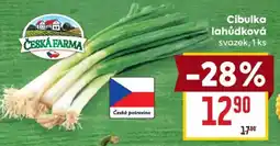 Billa CIBULKA LAHŮDKOVÁ nabídka