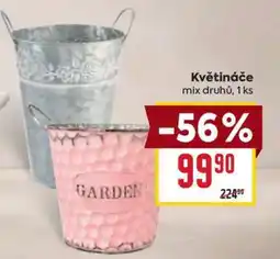 Billa Květináče nabídka