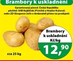 Konzum Brambory k uskladnění nabídka
