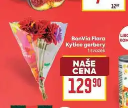 Billa BonVia Flora Kytice gerbery 1 svazek nabídka