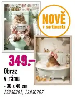 Hornbach Obraz v rámů nabídka
