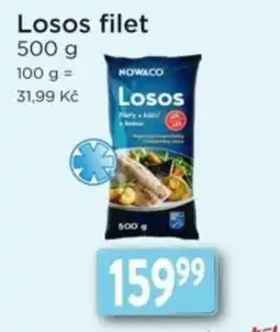 Qanto Nowaco losos filet nabídka