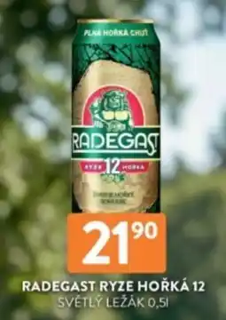 Qanto Radegast ryze hořká 12 nabídka