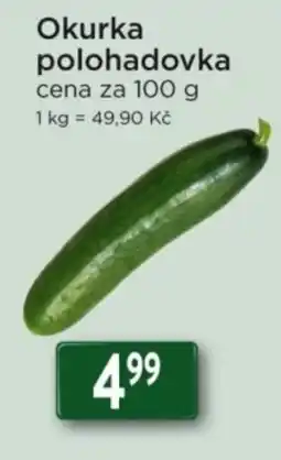 Qanto Okurka polohadovka nabídka