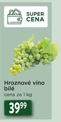 Qanto Hroznové víno bílé nabídka