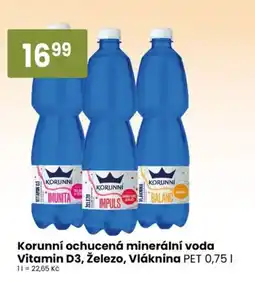 TEMPO Korunní ochucená minerální voda nabídka