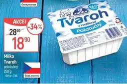 Globus Milko Tvaroh nabídka