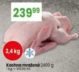TEMPO Kachna mrazená nabídka