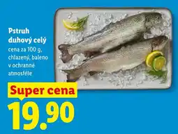 Lidl Pstruh duhový celý nabídka