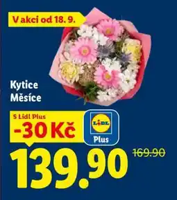 Lidl KYTICE MĚSÍCE nabídka