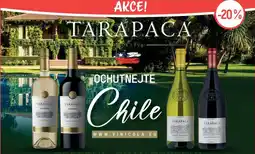 Globus Tarapaca nabídka