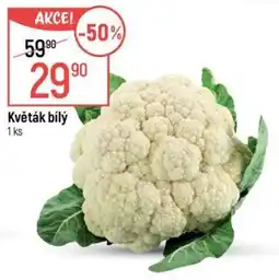 Globus Květák bílý nabídka