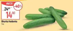 Globus Okurka hadovka nabídka