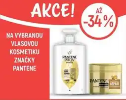 Globus Pantene nabídka