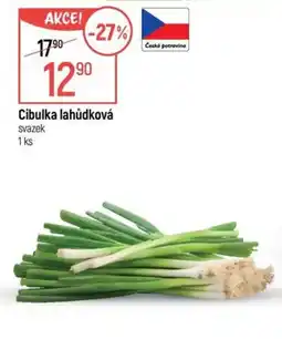Globus Cibulka lahůdková nabídka