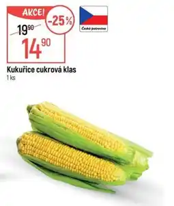 Globus Kukuřice cukrová klas nabídka
