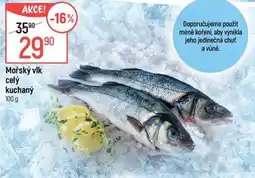Globus Mořský vlk celý kuchaný nabídka
