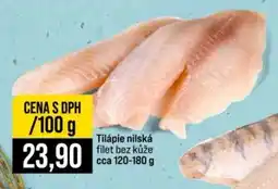 Jip Tilápie nilská nabídka