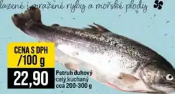 Jip Pstruh duhový nabídka