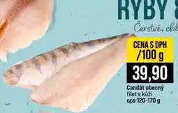 Jip Candát obecný filet s kůží nabídka