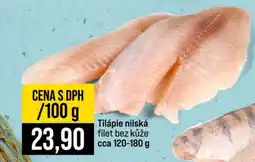 Jip TILÁPIE NILSKÁ nabídka