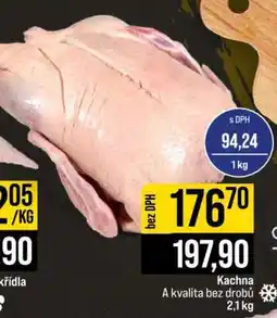 Jip KACHNA nabídka