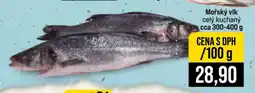 Jip Mořský vlk nabídka