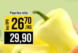 Jip PAPRIKA BÍLÁ nabídka